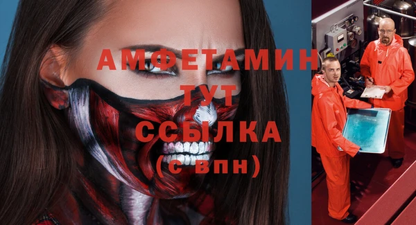 гашик Алексеевка